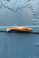 Bornholmsk magnet - røget sild