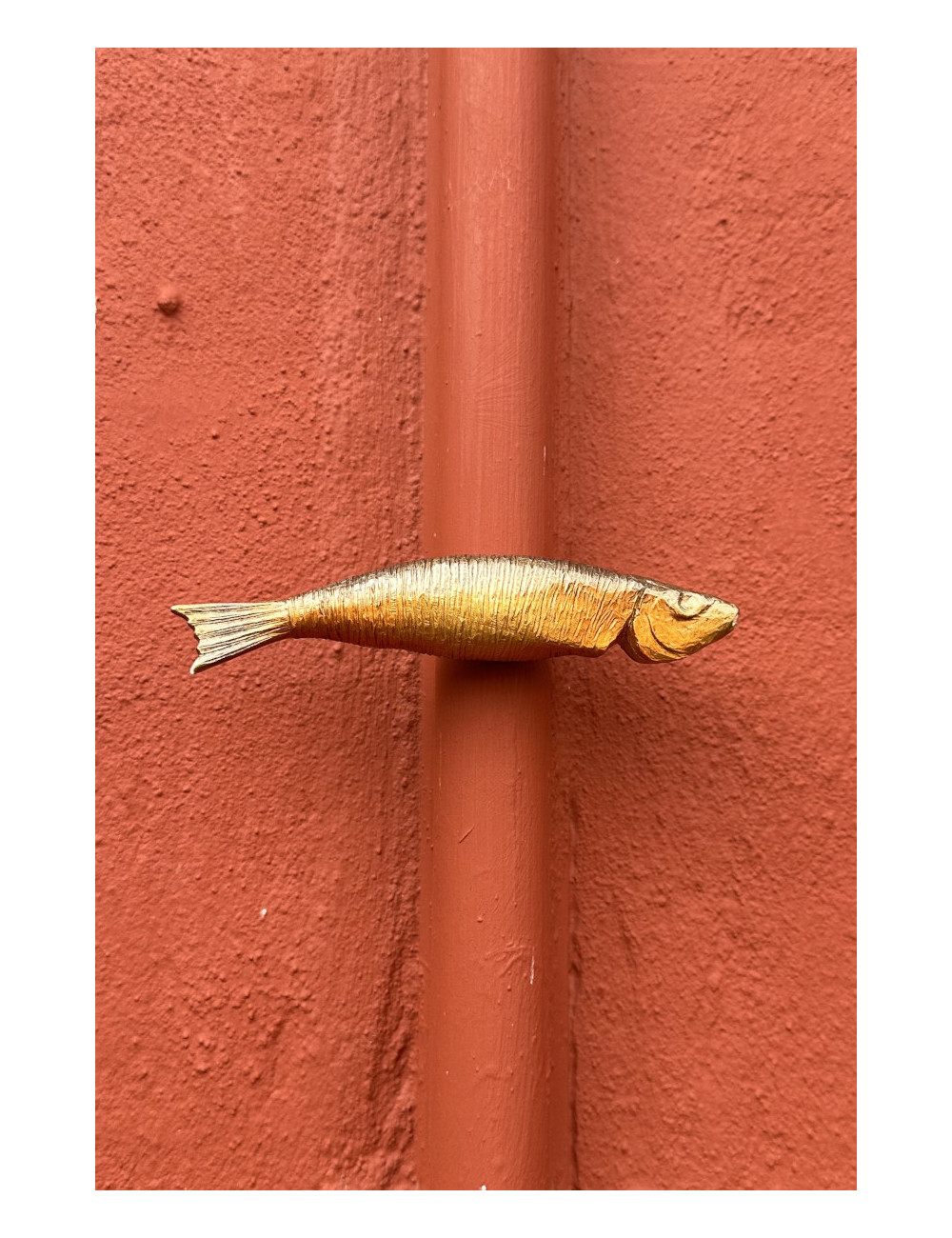 Bornholmsk magnet - røget sild