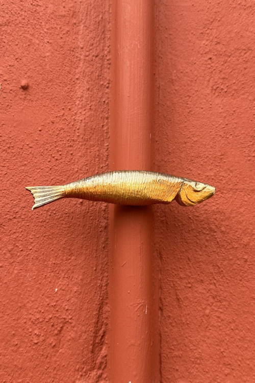 Bornholmsk magnet - røget sild
